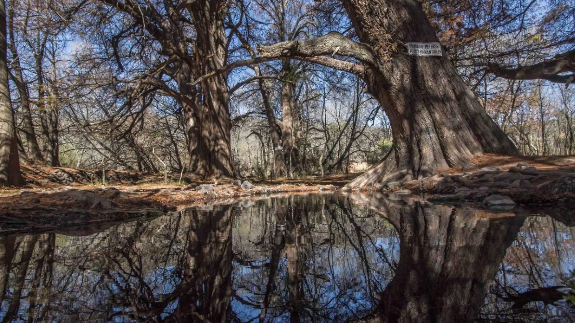 Pretenden activar el turismo de fin de semana en Los Sabinos.  Foto Archivo.